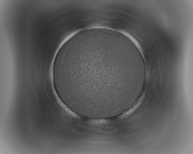 X0000116420957200912150955