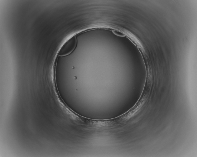 X0000116420958200912150955