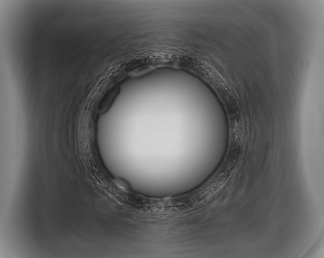 X0000116420961200912150955