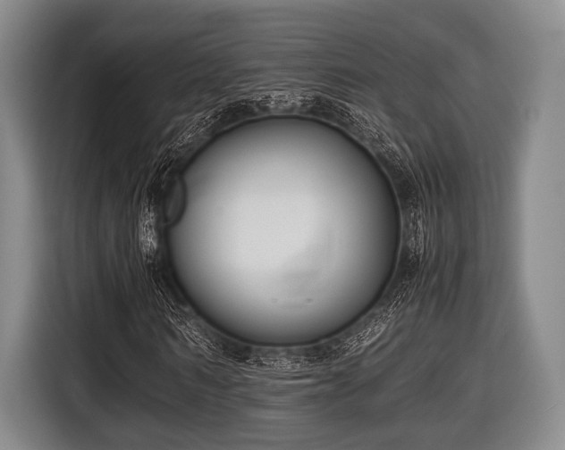 X0000116420962200912150955
