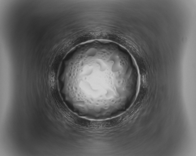 X0000116420963200912150955