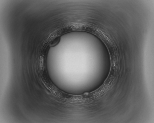 X0000116420964200912150955