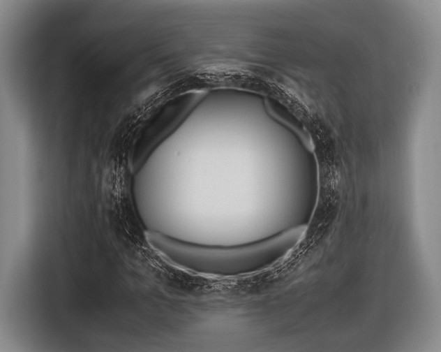 X0000116420965200912150955
