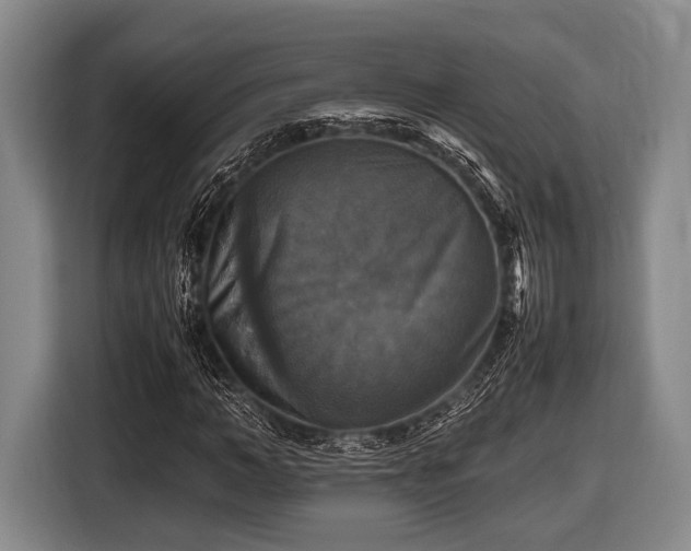 X0000116420966200912150955