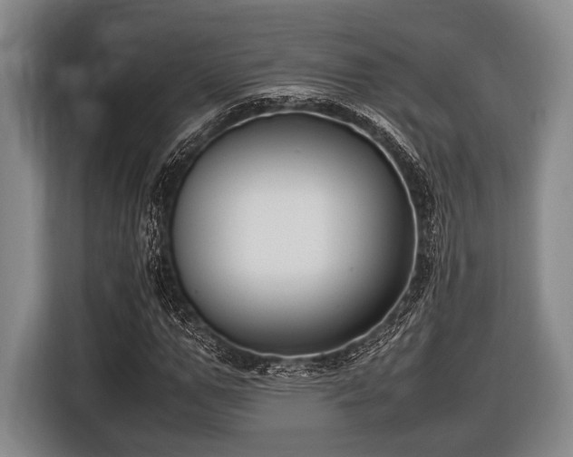 X0000116420967200912150955