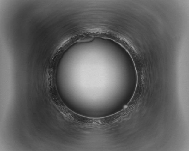 X0000116420968200912150955