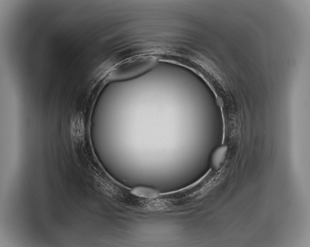X0000116420969200912150955