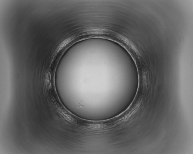 X0000116420970200912150955
