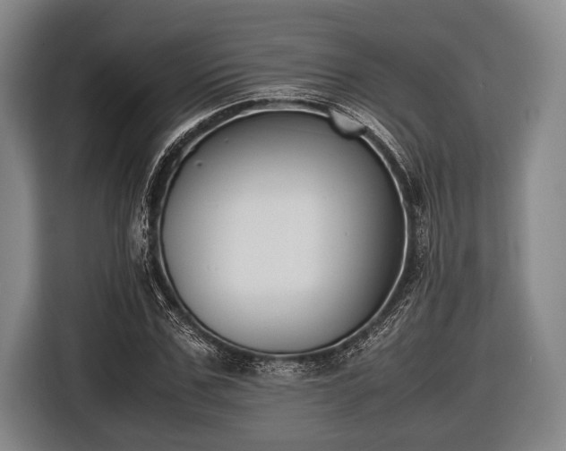 X0000116420971200912150955