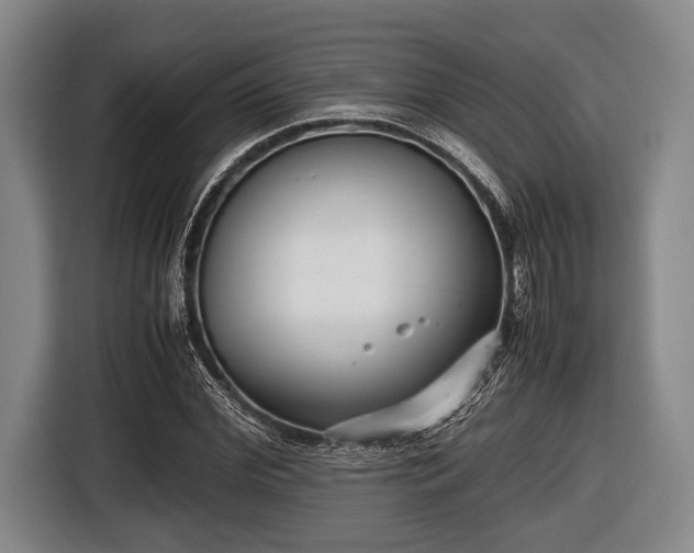 X0000116420972200912150955