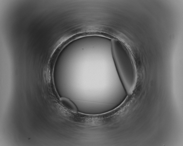 X0000116420973200912150955