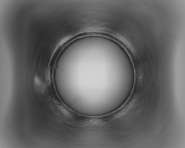 X0000116420974200912150955