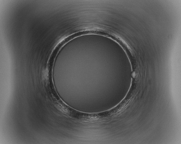X0000116420975200912150955