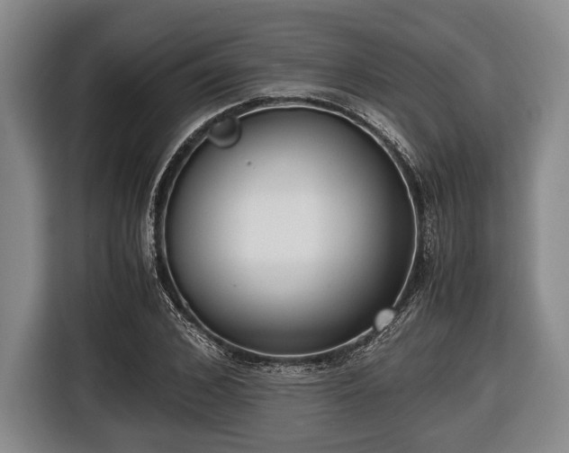 X0000116420976200912150955