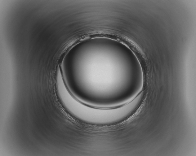 X0000116420977200912150955