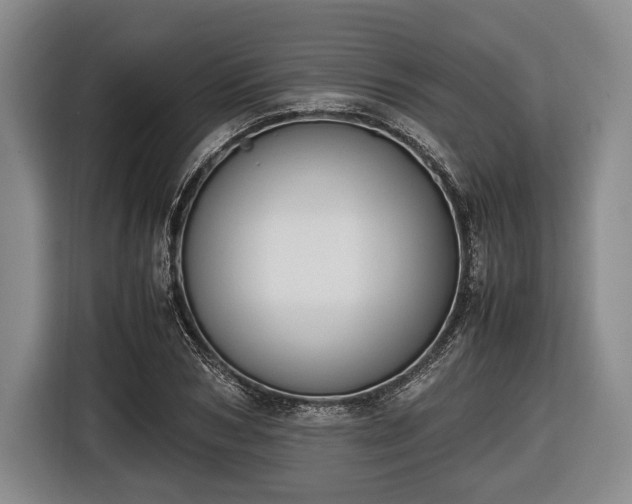 X0000116420978200912150955