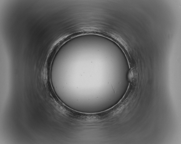 X0000116420979200912150955