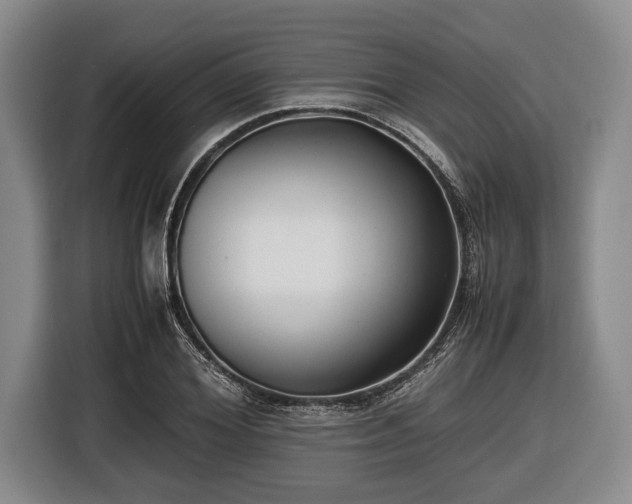 X0000116420980200912150955