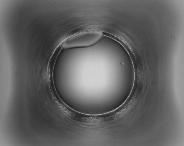 X0000116420981200912150955