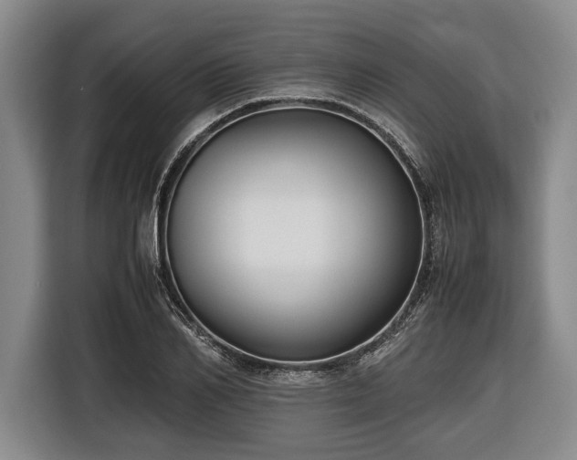 X0000116420982200912150955