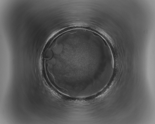 X0000116420983200912150955