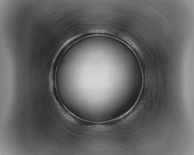 X0000116420984200912150955