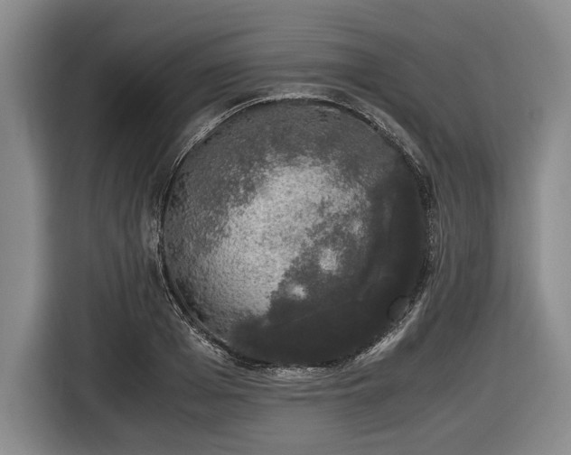 X0000116420985200912150955