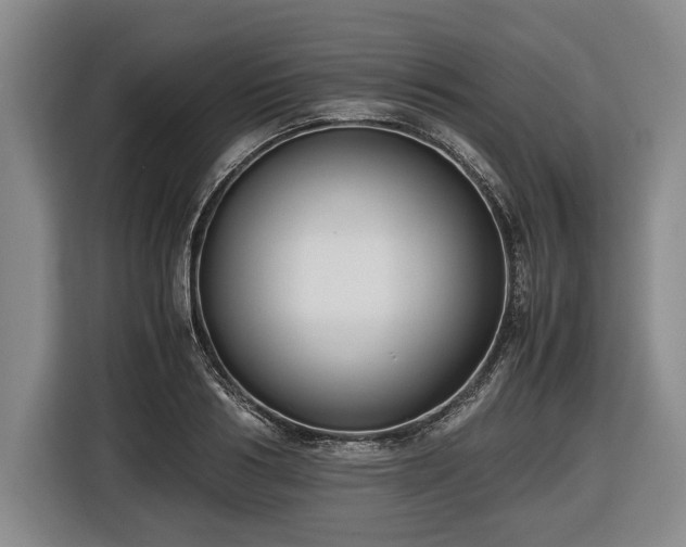X0000116420986200912150955