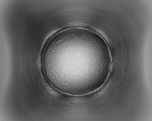 X0000116420987200912150955