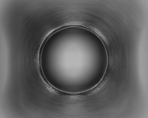 X0000116420988200912150955