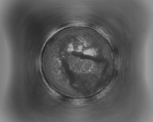 X0000116420989200912150954