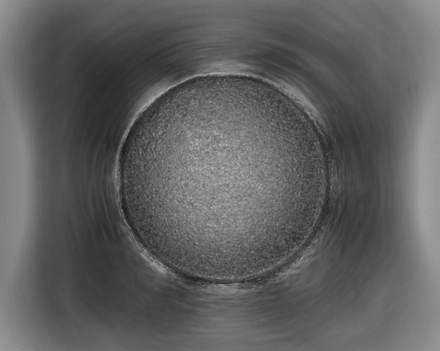 X0000116420990200912150954