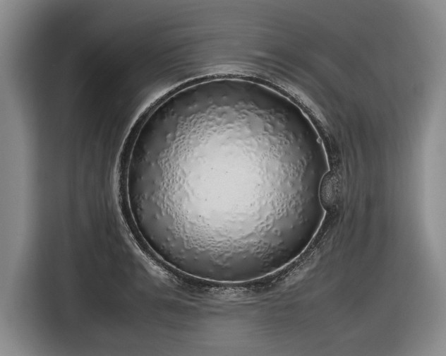 X0000116420991200912150954