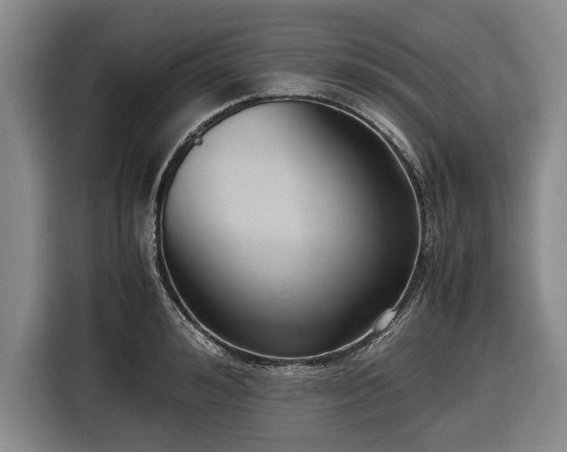 X0000116420992200912150954