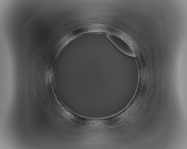 X0000116420993200912150954