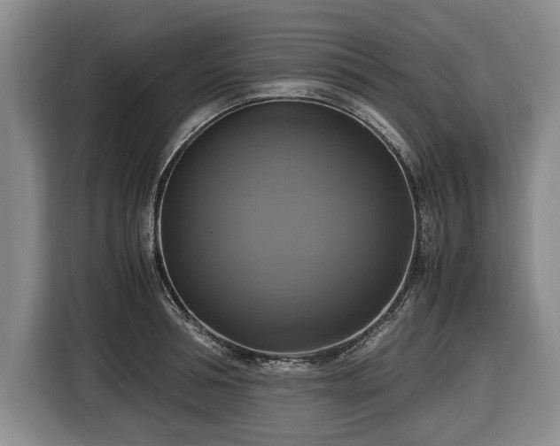 X0000116420994200912150954