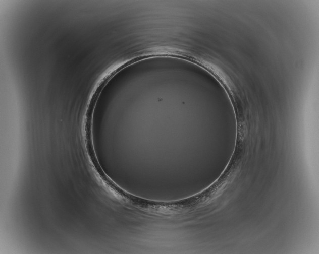 X0000116420995200912150954