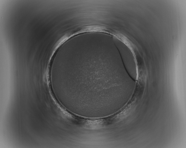 X0000116420997200912150954