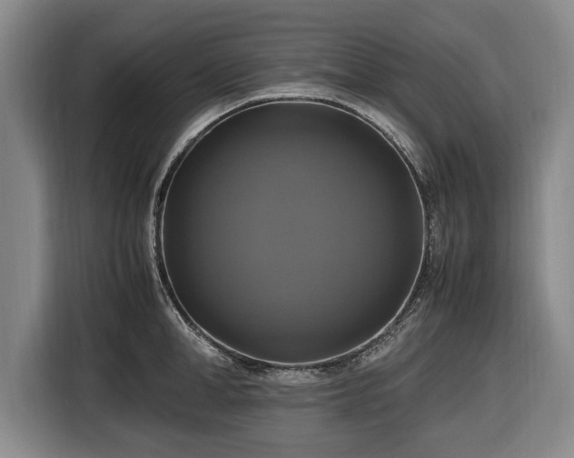 X0000116420998200912150954