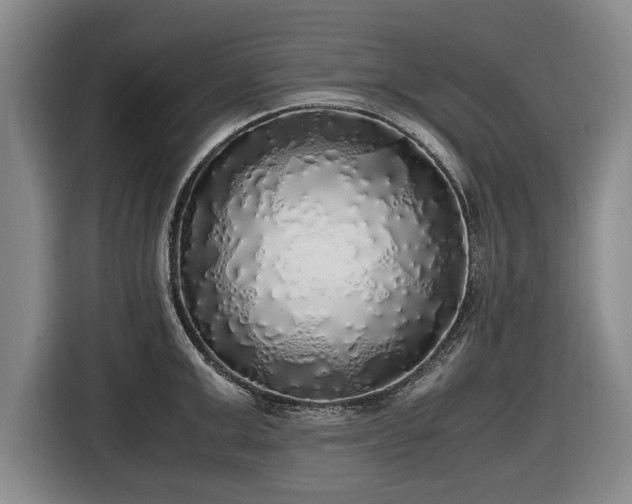 X0000116420999200912150954