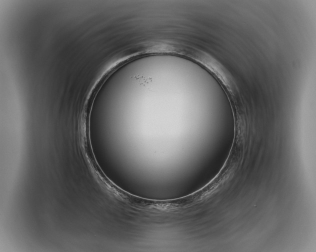 X0000116421000200912150954