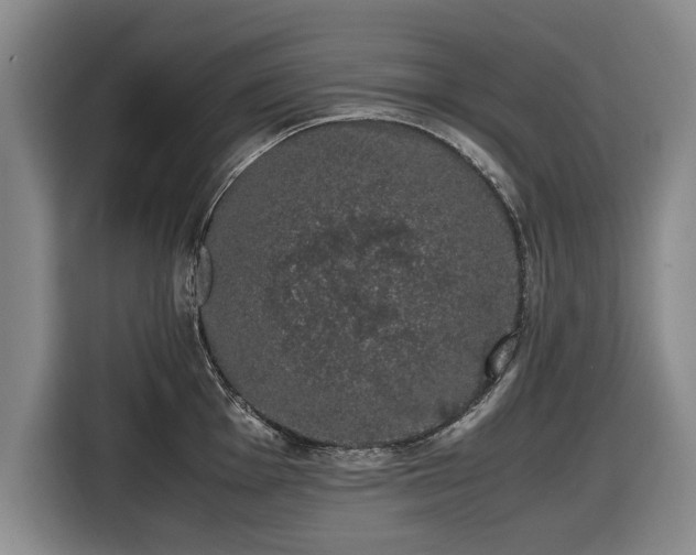 X0000116421001200912150954