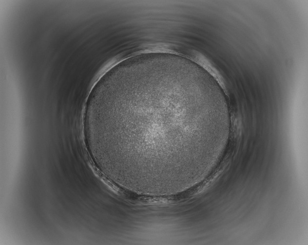 X0000116421002200912150954