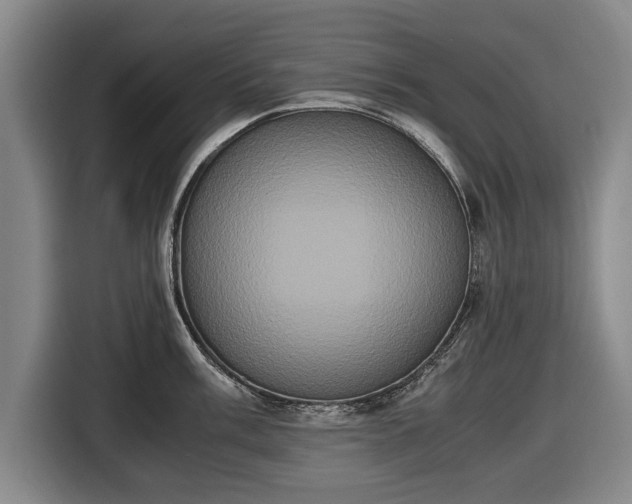 X0000116421003200912150954
