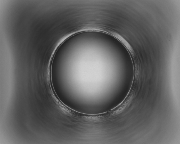 X0000116421004200912150954
