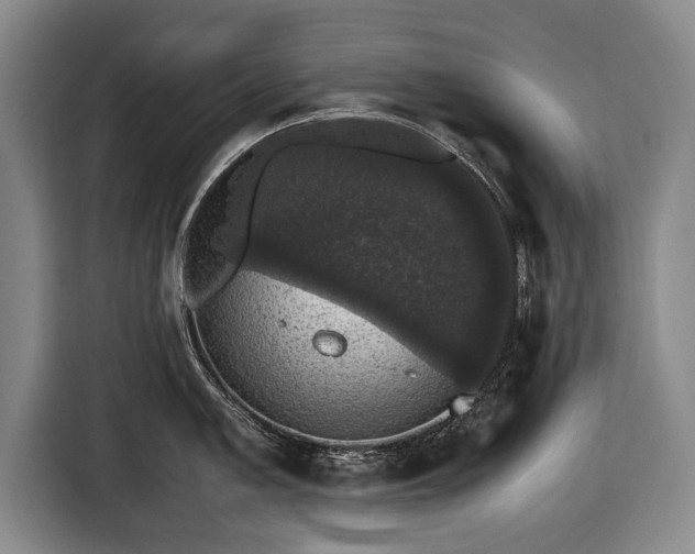 X0000116421005200912150954