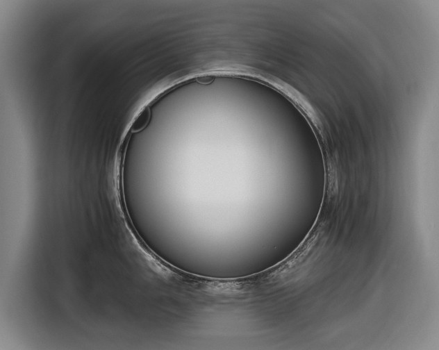 X0000116421006200912150954