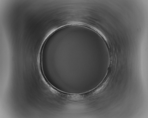 X0000116421007200912150954