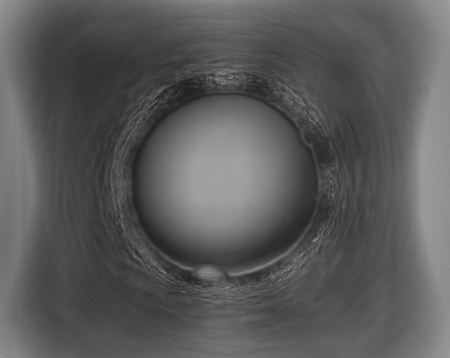 X0000116421009200912150954