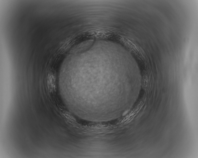 X0000116421010200912150954